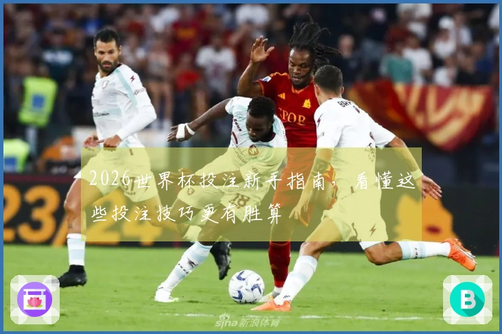 2026世界杯投注新手指南，看懂这些投注技巧更有胜算
