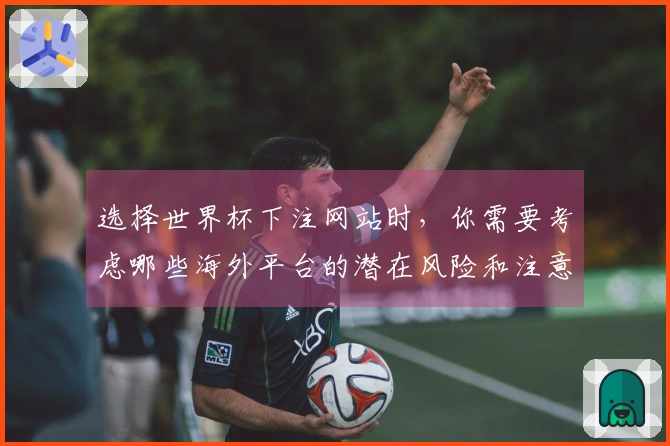 选择世界杯下注网站时，你需要考虑哪些海外平台的潜在风险和注意事项？