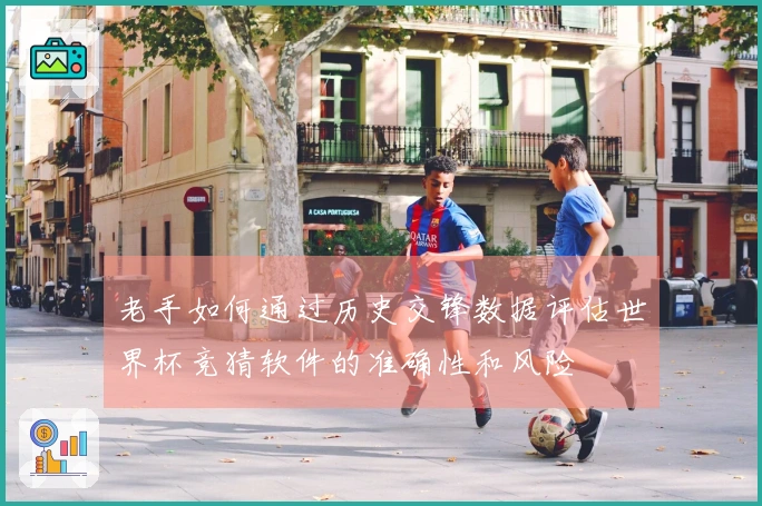 老手如何通过历史交锋数据评估世界杯竞猜软件的准确性和风险
