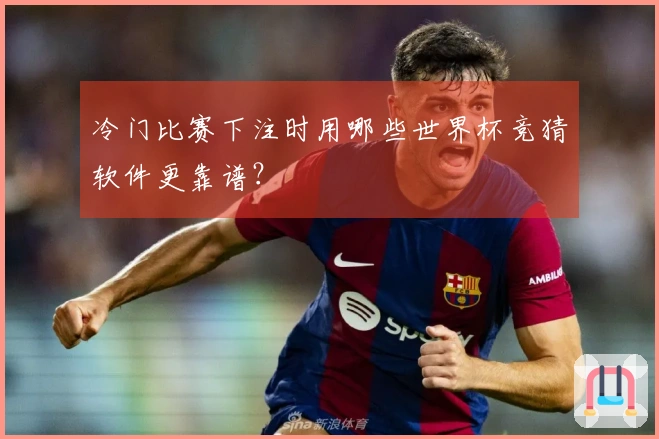 冷门比赛下注时用哪些世界杯竞猜软件更靠谱？