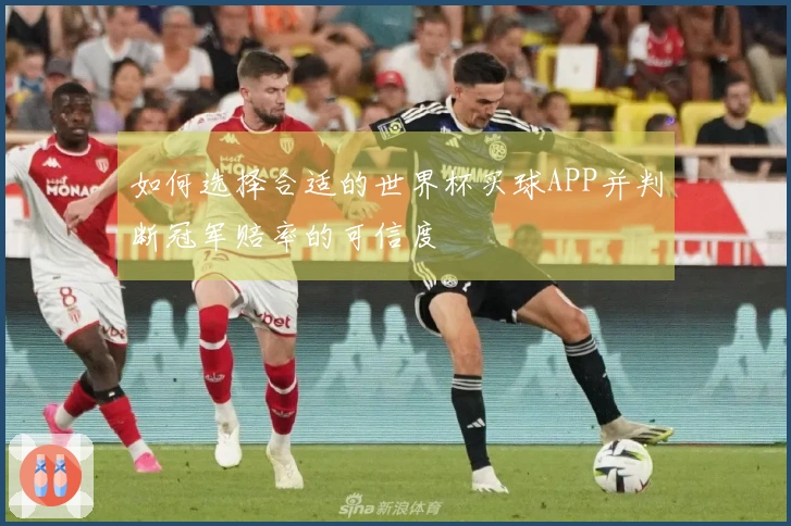 如何选择合适的世界杯买球APP并判断冠军赔率的可信度