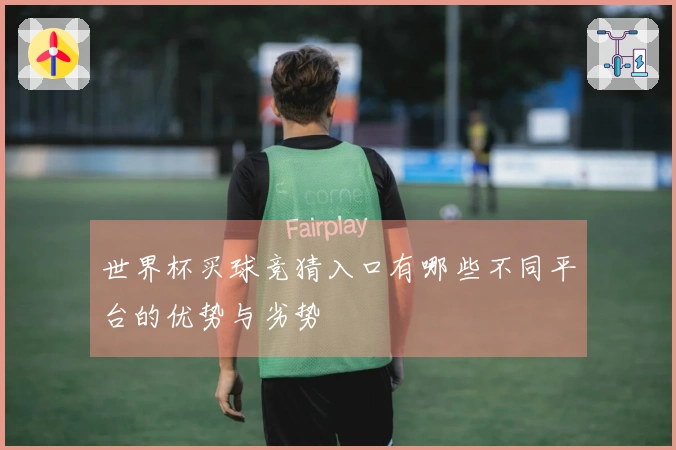 世界杯买球竞猜入口有哪些不同平台的优势与劣势