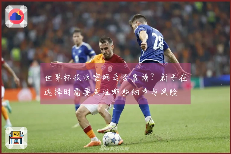 世界杯投注官网是否靠谱？新手在选择时需要关注哪些细节与风险