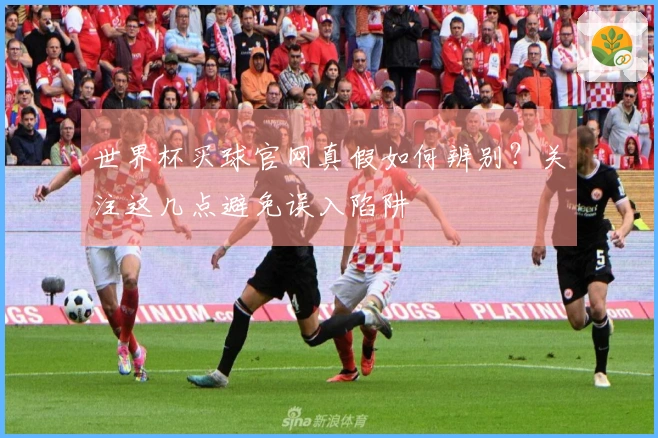 世界杯买球官网真假如何辨别？关注这几点避免误入陷阱