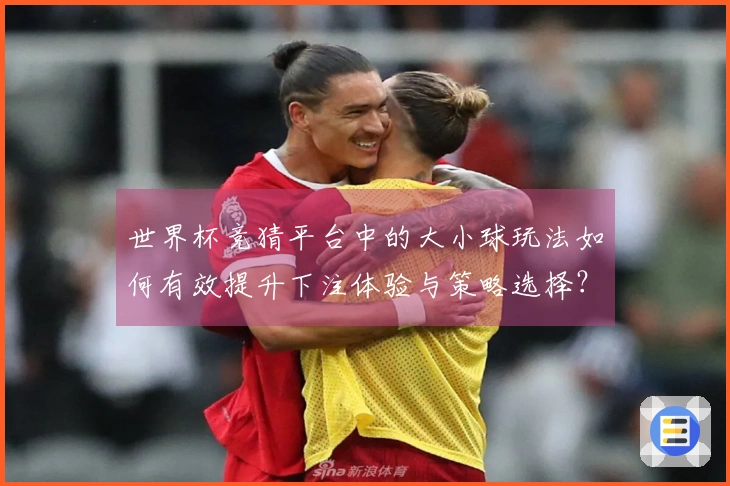 世界杯竞猜平台中的大小球玩法如何有效提升下注体验与策略选择？