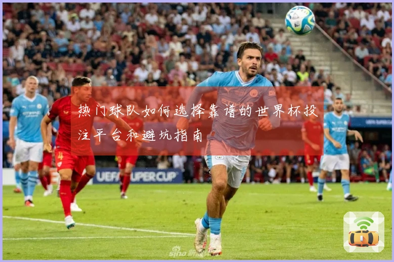 热门球队如何选择靠谱的世界杯投注平台和避坑指南