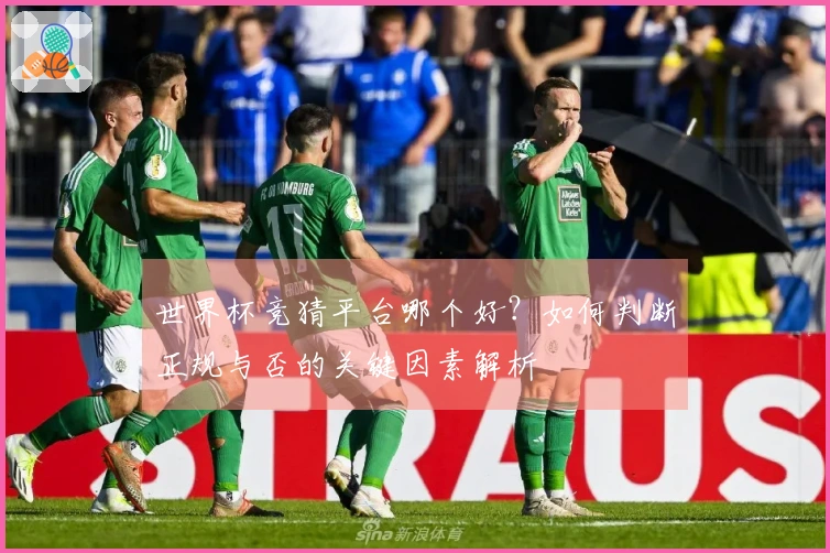 世界杯竞猜平台哪个好？如何判断正规与否的关键因素解析