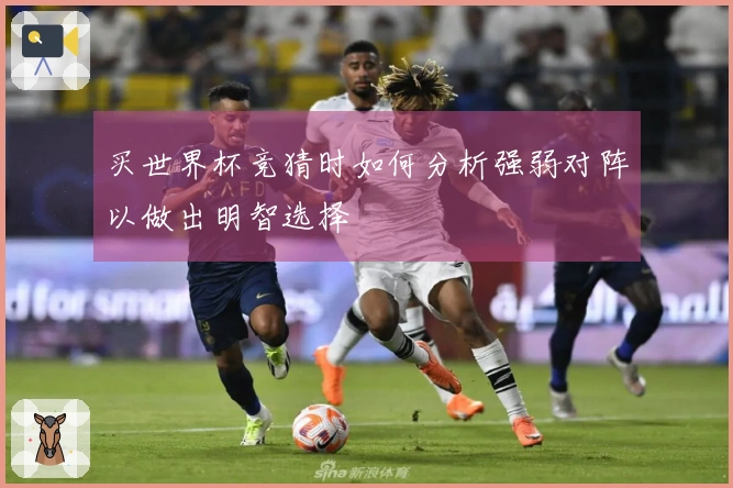 买世界杯竞猜时如何分析强弱对阵以做出明智选择
