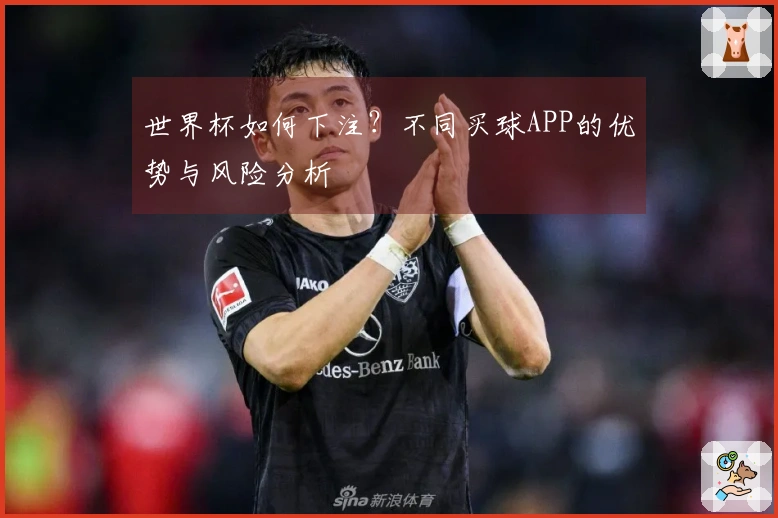 世界杯如何下注？不同买球APP的优势与风险分析
