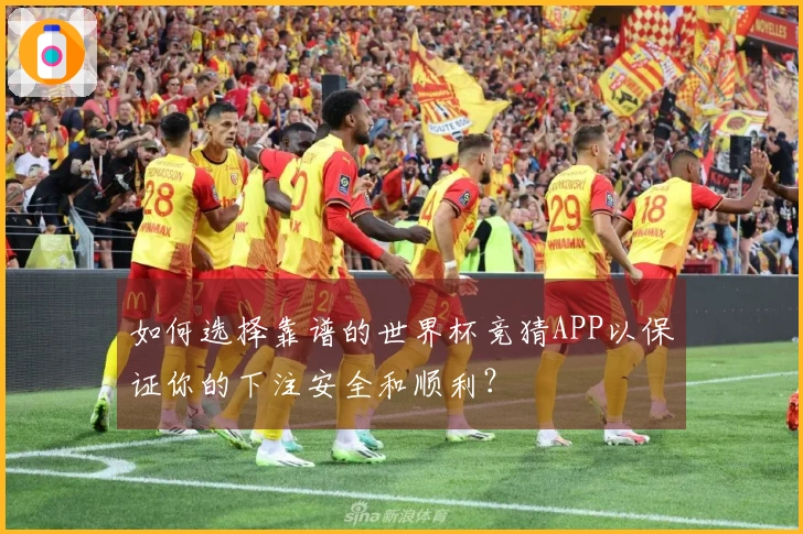 如何选择靠谱的世界杯竞猜APP以保证你的下注安全和顺利？