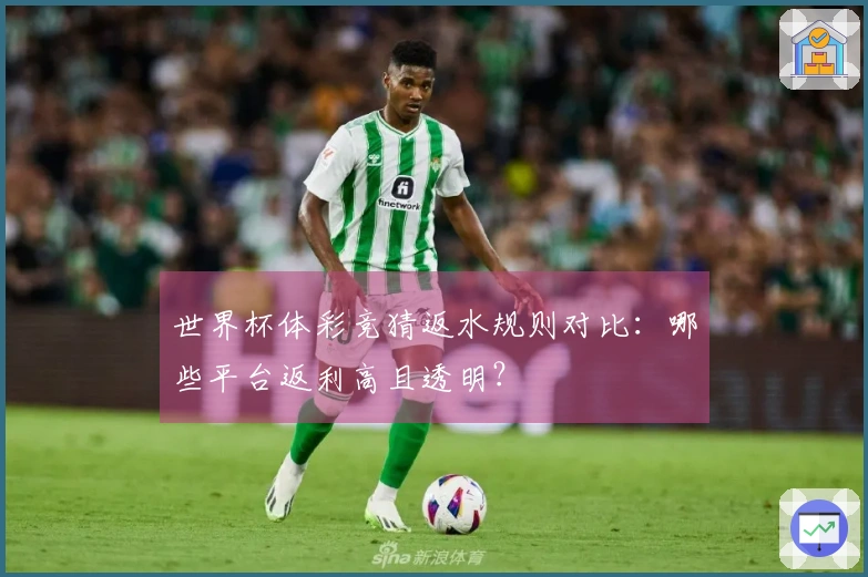 世界杯体彩竞猜返水规则对比：哪些平台返利高且透明？