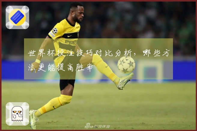 世界杯投注技巧对比分析，哪些方法更能提高胜率