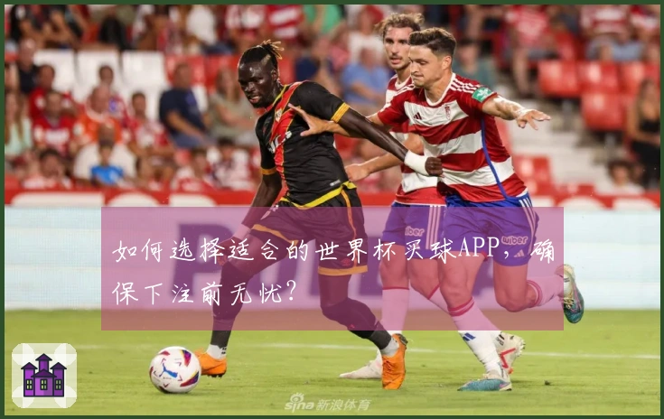 如何选择适合的世界杯买球APP，确保下注前无忧？