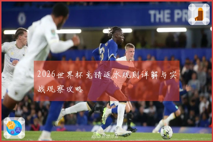 2026世界杯竞猜返水规则详解与实战观察攻略