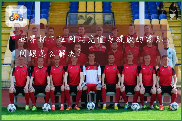 世界杯下注网站充值与提款的常见问题怎么解决？