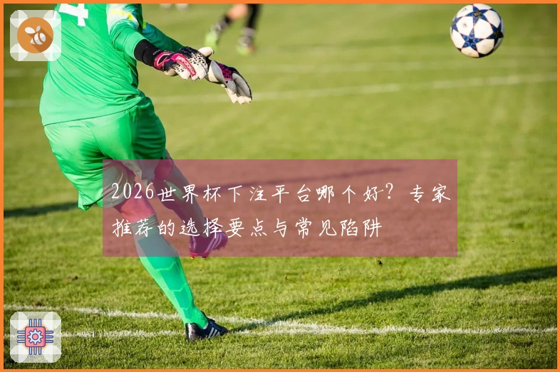 2026世界杯下注平台哪个好？专家推荐的选择要点与常见陷阱