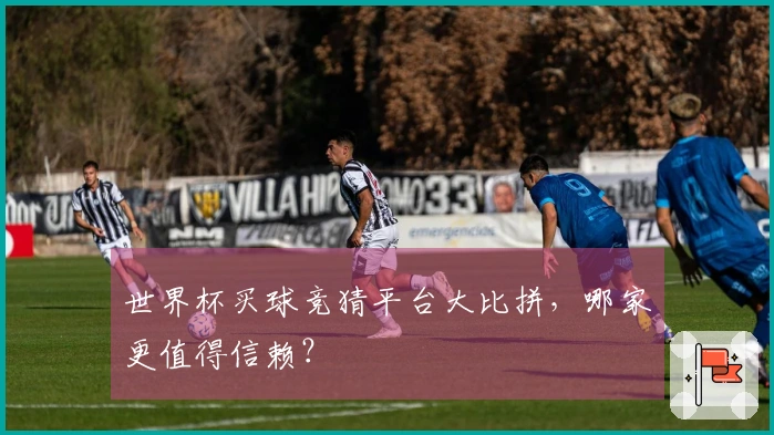 世界杯买球竞猜平台大比拼，哪家更值得信赖？