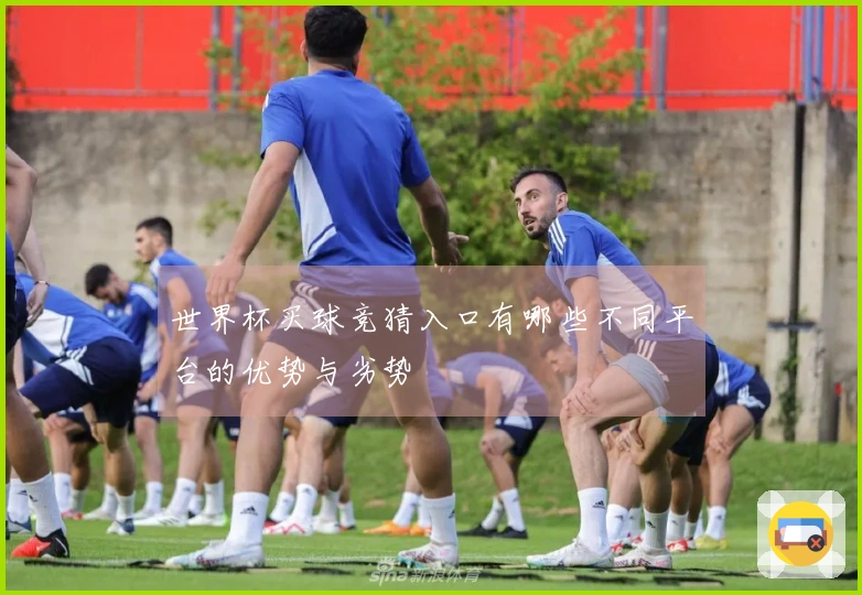 世界杯买球竞猜入口有哪些不同平台的优势与劣势