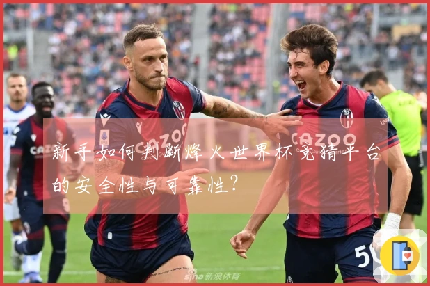 新手如何判断烽火世界杯竞猜平台的安全性与可靠性？