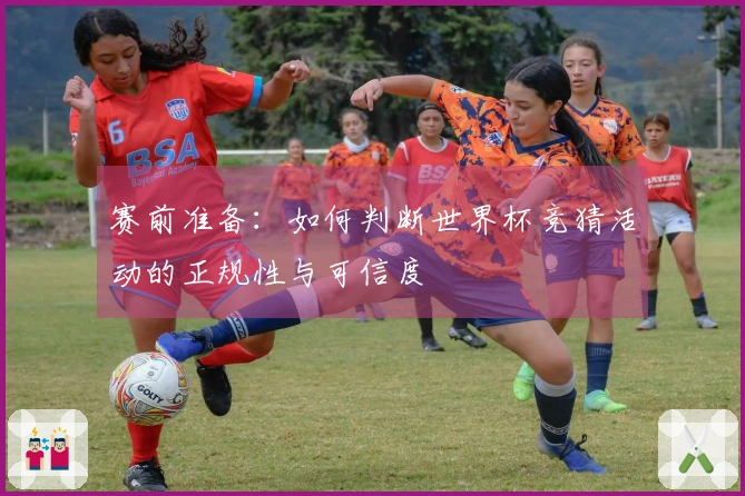 赛前准备：如何判断世界杯竞猜活动的正规性与可信度