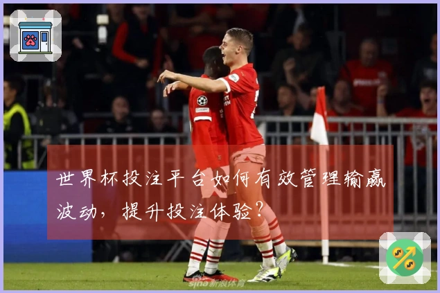 世界杯投注平台如何有效管理输赢波动，提升投注体验？