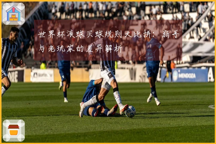 世界杯滚球买球规则大比拼：新手与老玩家的差异解析