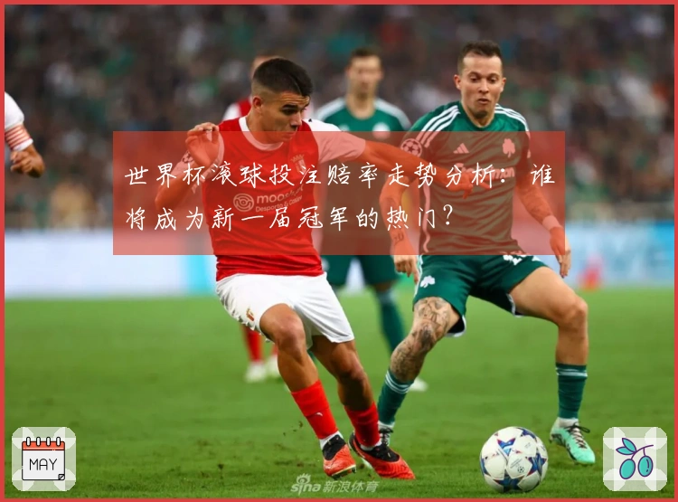 世界杯滚球投注赔率走势分析：谁将成为新一届冠军的热门？