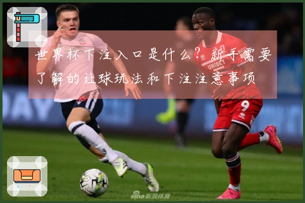 世界杯下注入口是什么？新手需要了解的让球玩法和下注注意事项