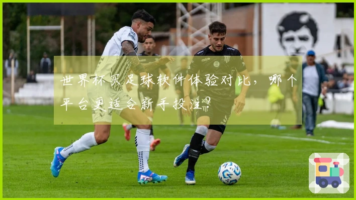 世界杯买足球软件体验对比，哪个平台更适合新手投注？