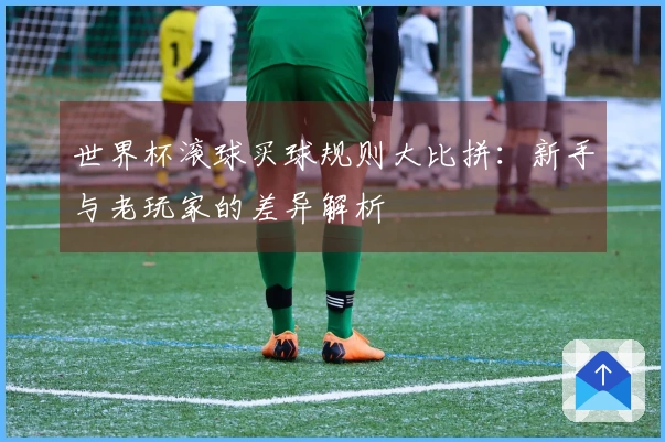世界杯滚球买球规则大比拼：新手与老玩家的差异解析